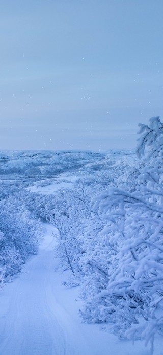 暴风雪