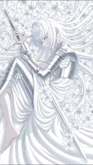 银色女骑士