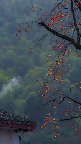 蒙蒙细雨