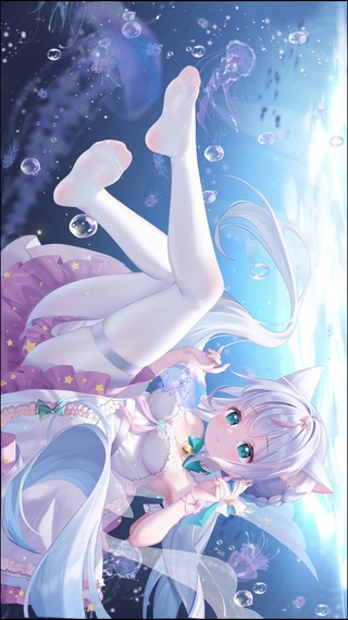 海月