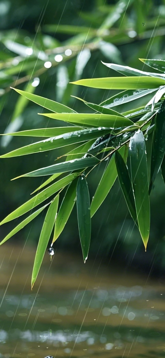 雨中绿竹