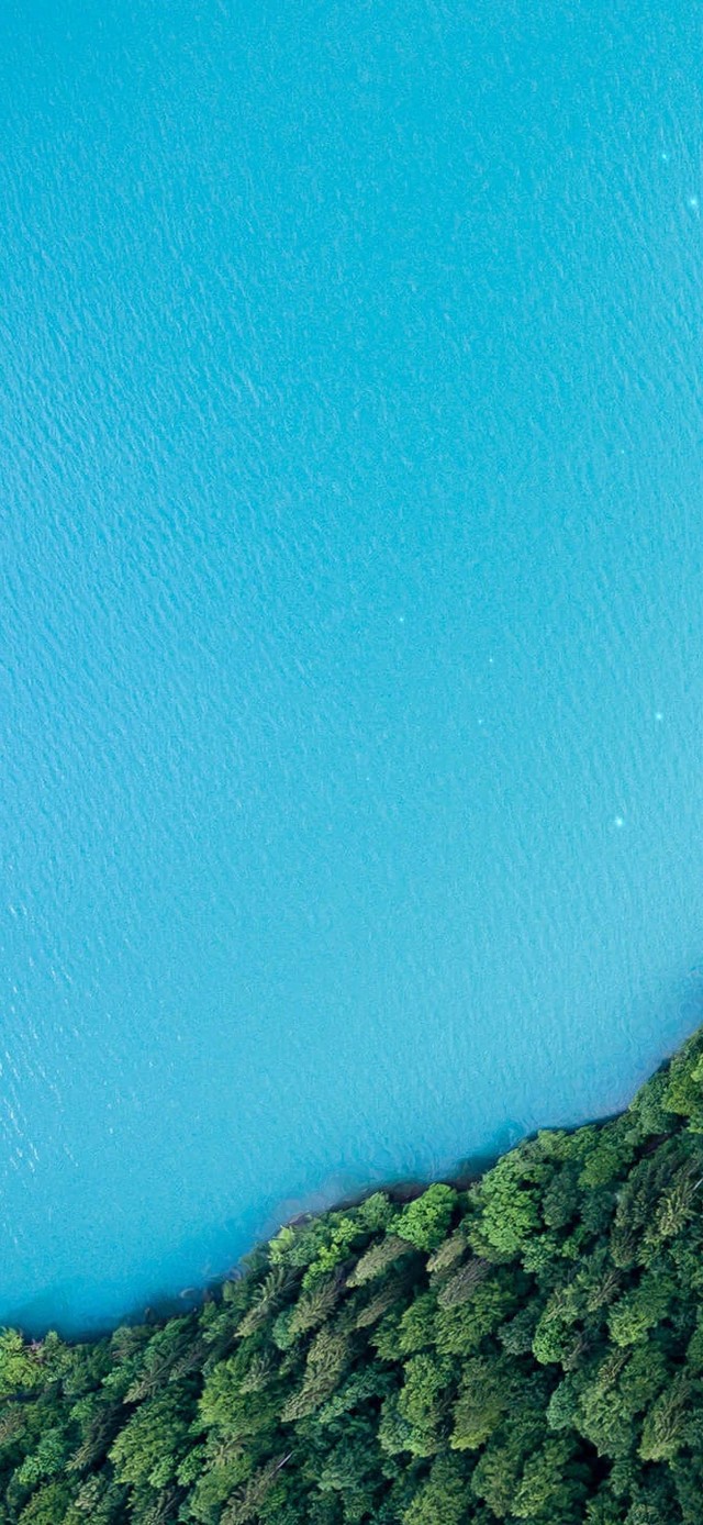 治愈的大海与森林