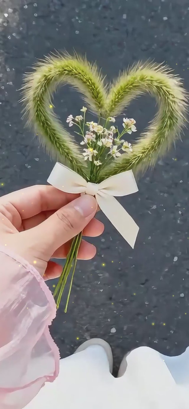 爱心狗尾巴草