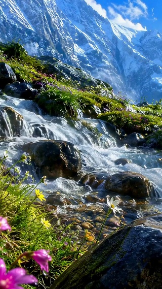 雪山溪流山间野花美景