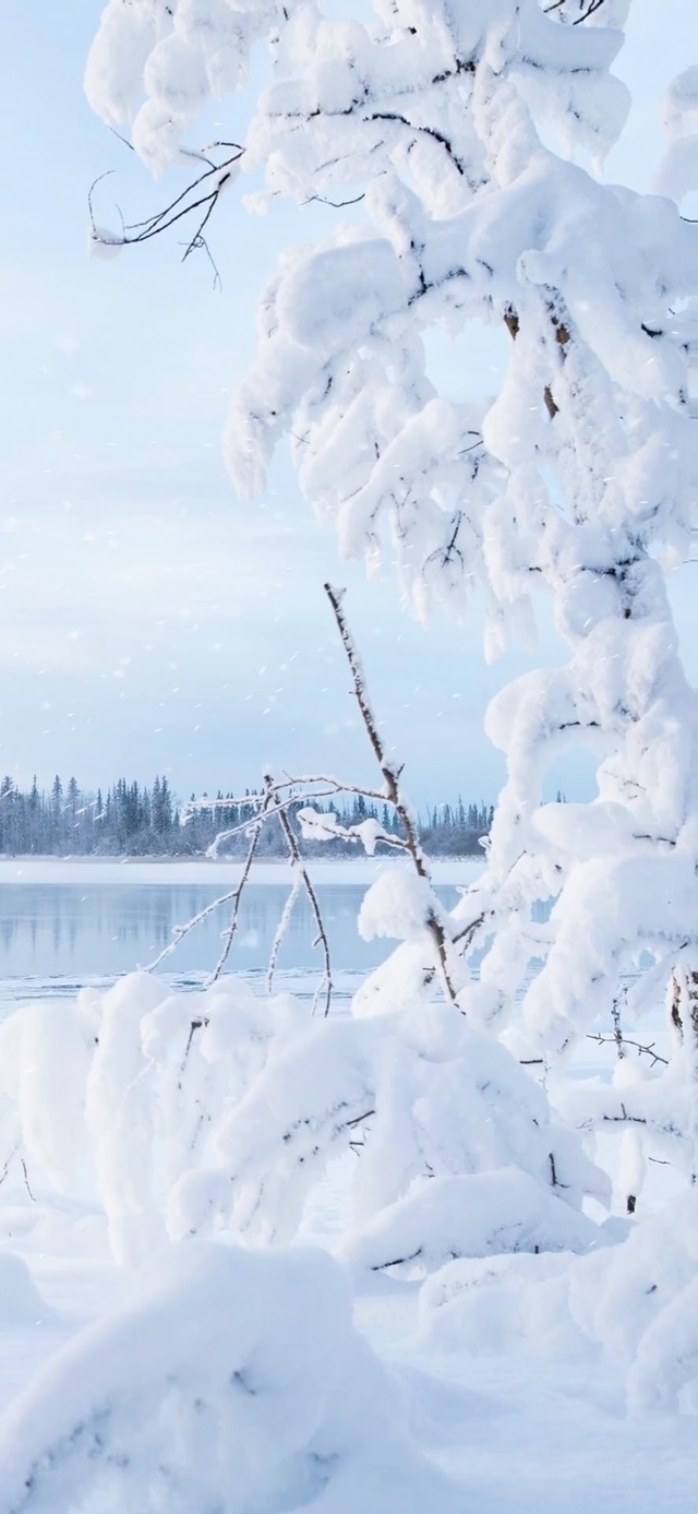 万里雪飘（含真实时间）