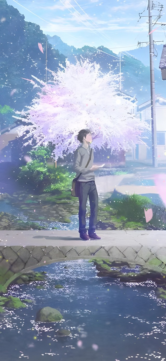 唯美治愈樱花小路