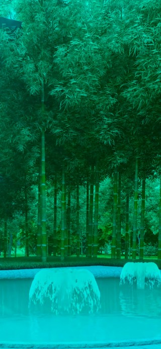 竹林风景
