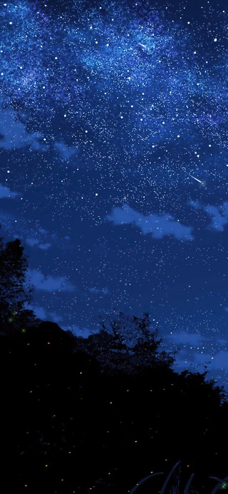 4K昙花一现星河宴