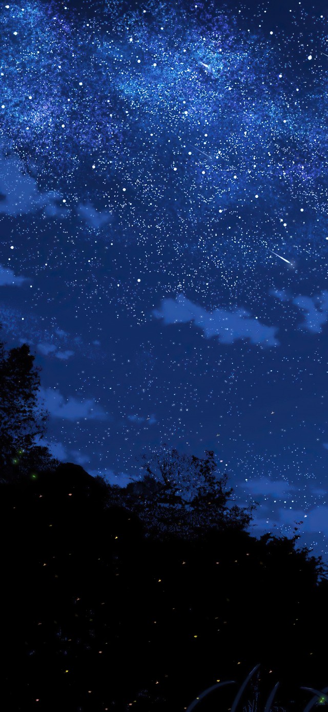 4K昙花一现星河宴