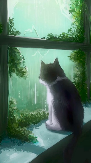 治愈-看窗外下雨的猫咪