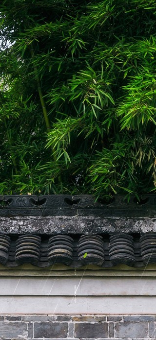 雨天竹林老屋