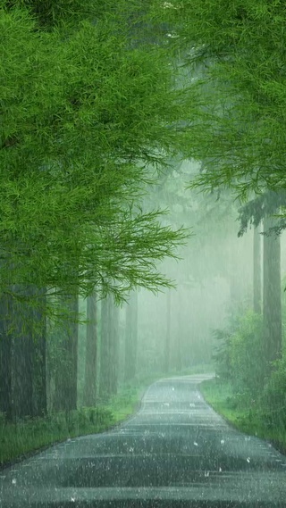清心治愈雨