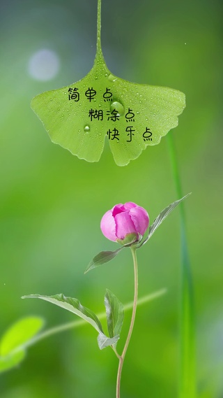 简单点，糊涂点