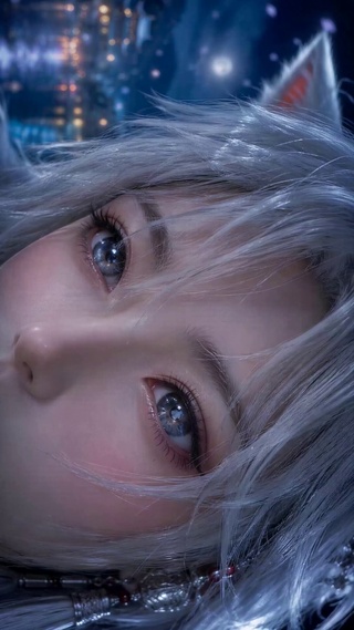 银发猫耳美少女月夜
