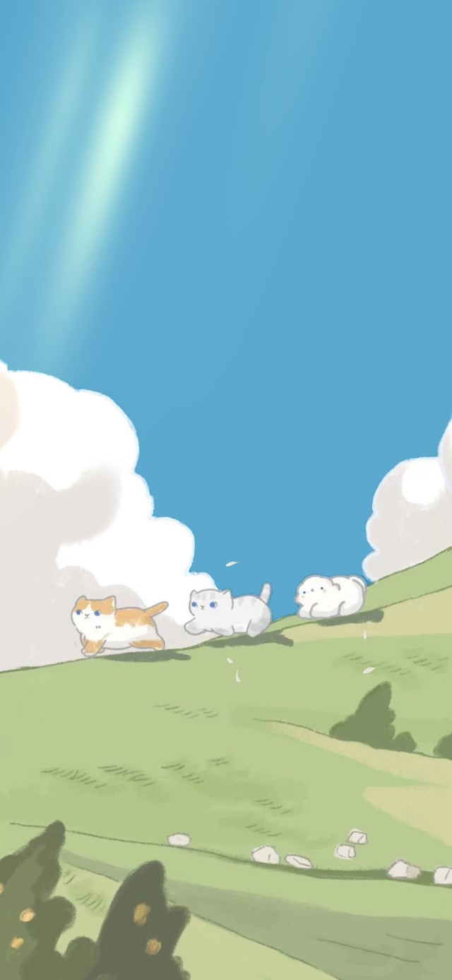 三只猫 快乐无边