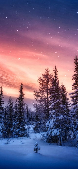 夜晚的流星