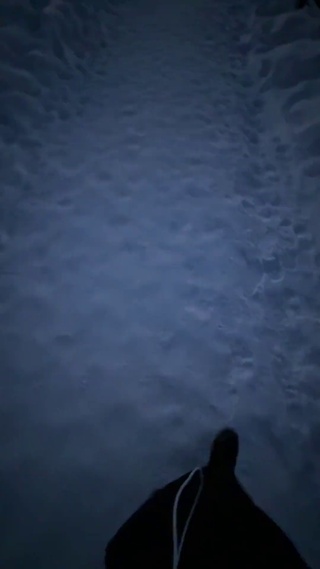 极光下的雪景