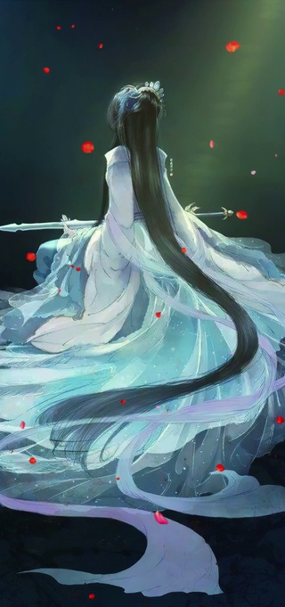 仙女小姐姐的背影