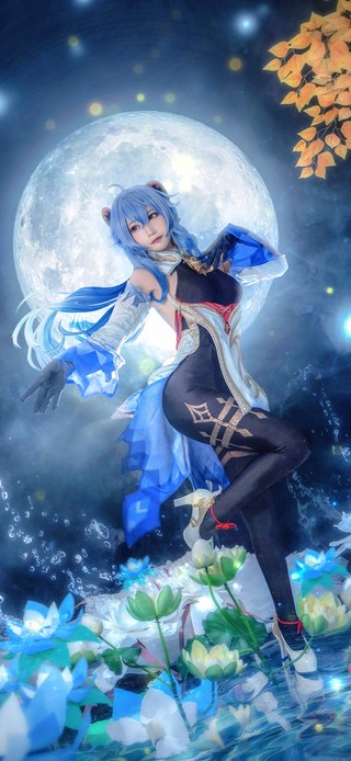 原神甘雨月下莲花