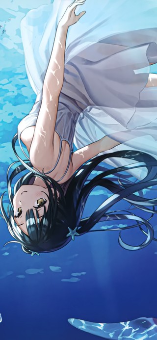 海豚少女