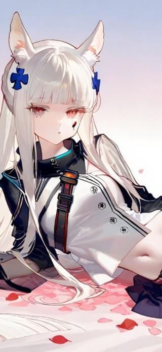 趴着的黑丝jk少女-白金