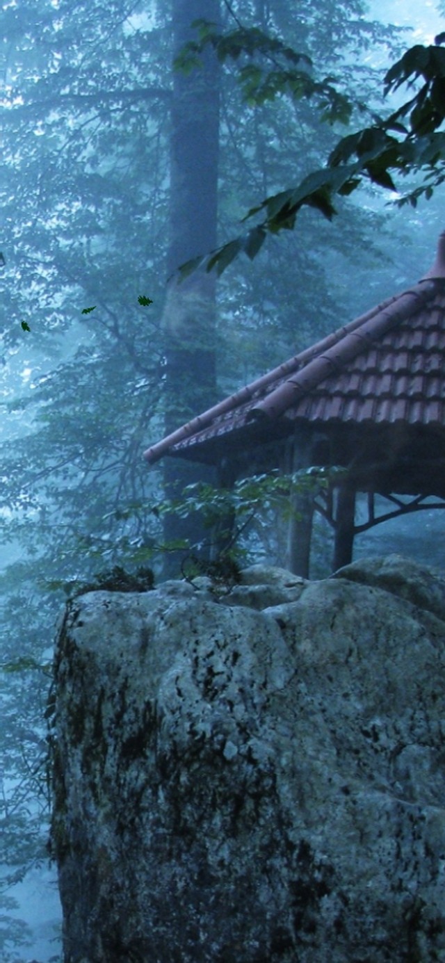 幽林深处静（wake）