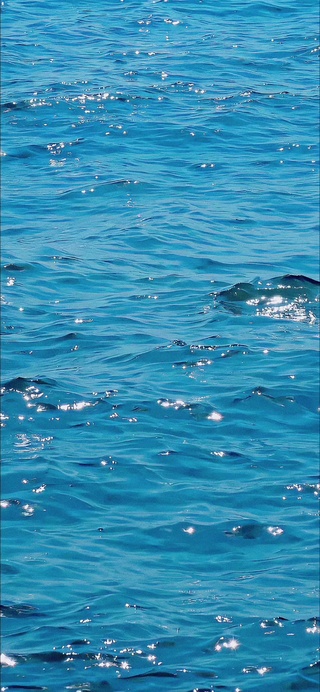 颅内放松治愈动态流水