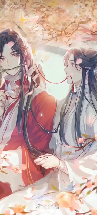 花开满城-天官赐福