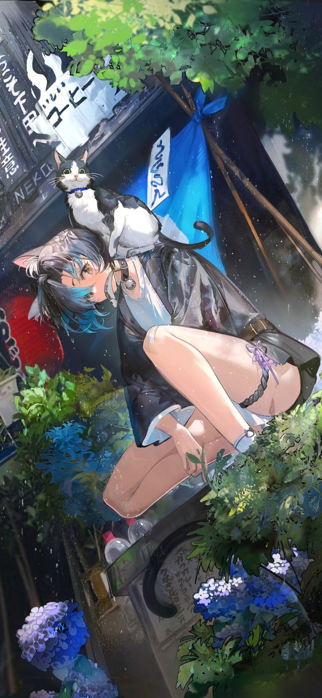 4K清纯可爱猫耳少女和猫