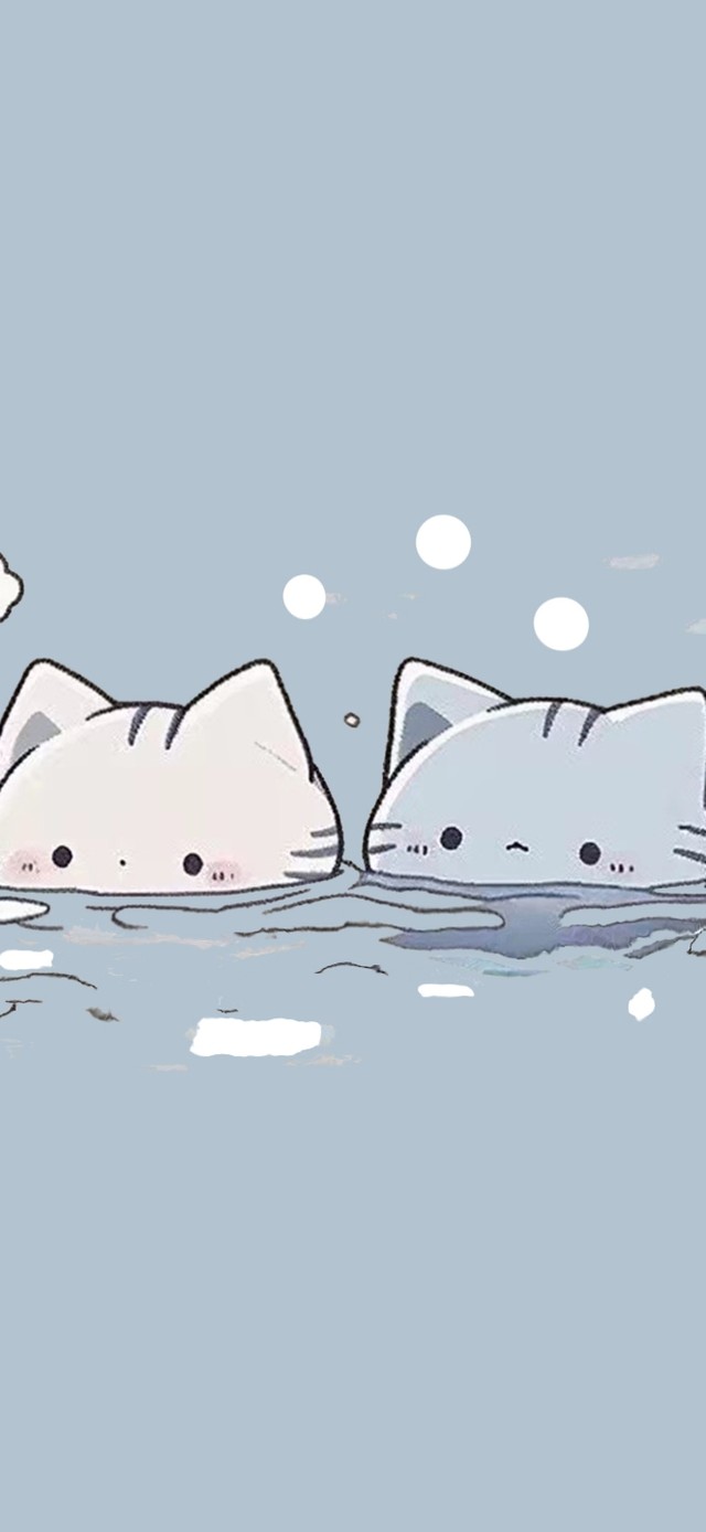 爱泡澡的小猫