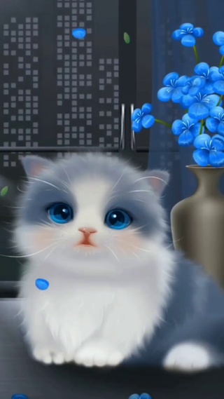 蓝白小猫咪