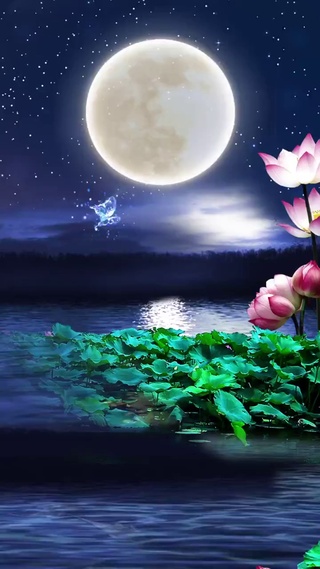 唯美夜晚梦河