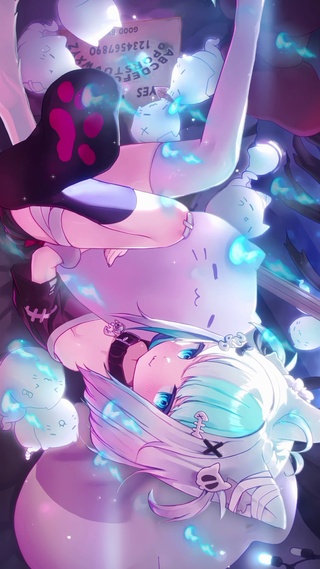 小白猫2