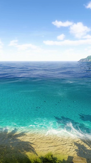 大海沙滩椰树蓝天