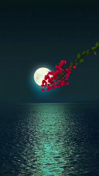 月光