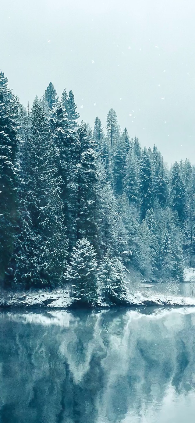 超清雪景 风景手机动态壁纸 风景手机壁纸下载 元气壁纸