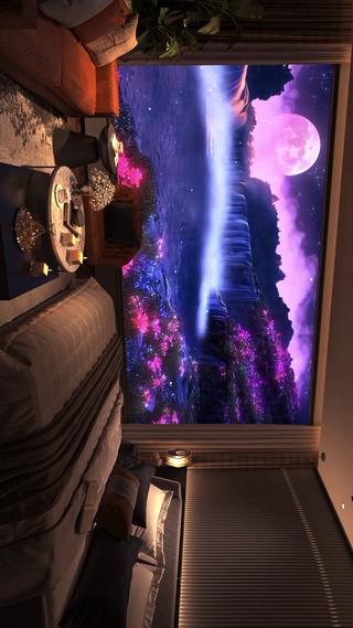 月夜花海