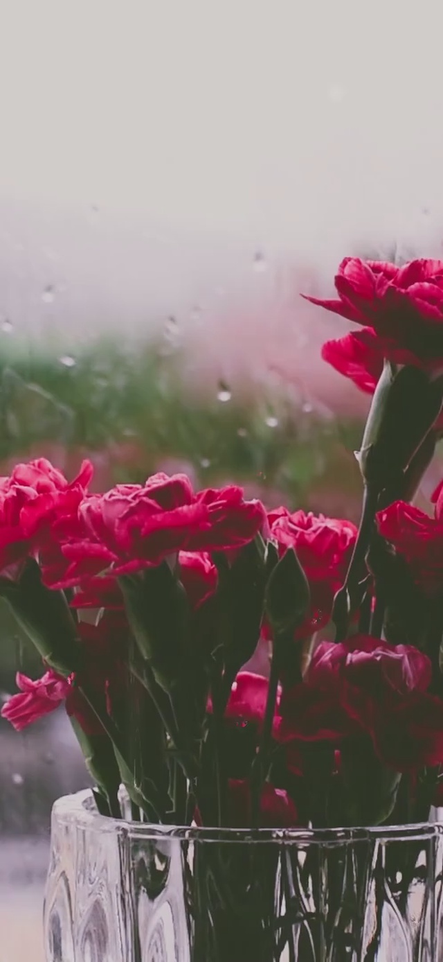 雨打窗花（含日历天气时钟）