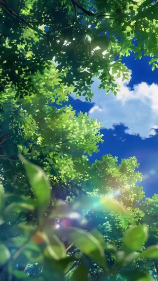 树顶晴空