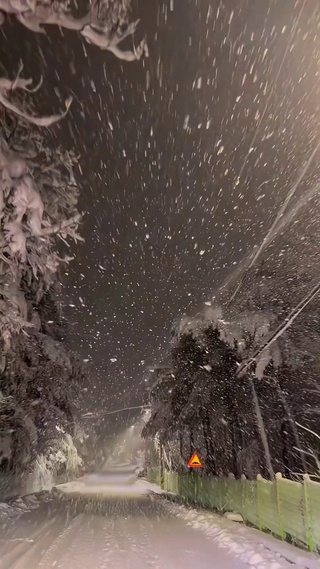 下雪了，你还好吗？