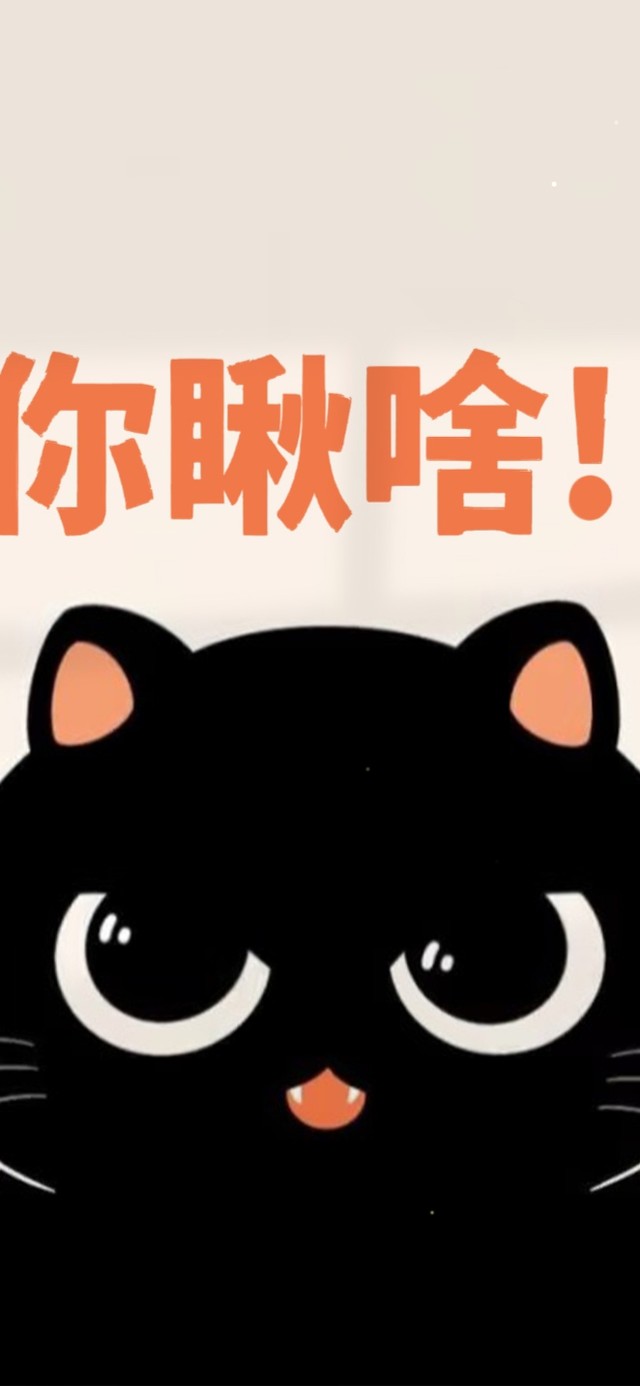 你瞅啥 猫咪警告