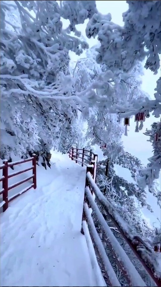 治愈系风景