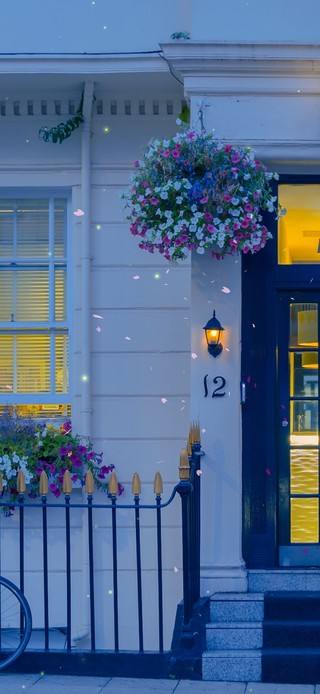 4K唯美治愈傍晚街道花店