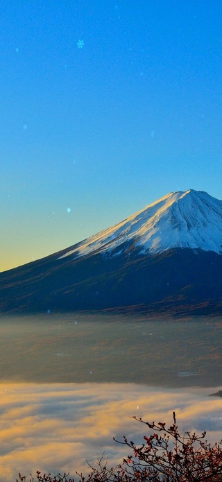 雪山 美景