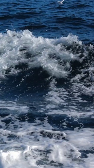 海上