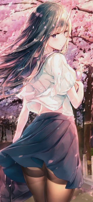 樱花树下