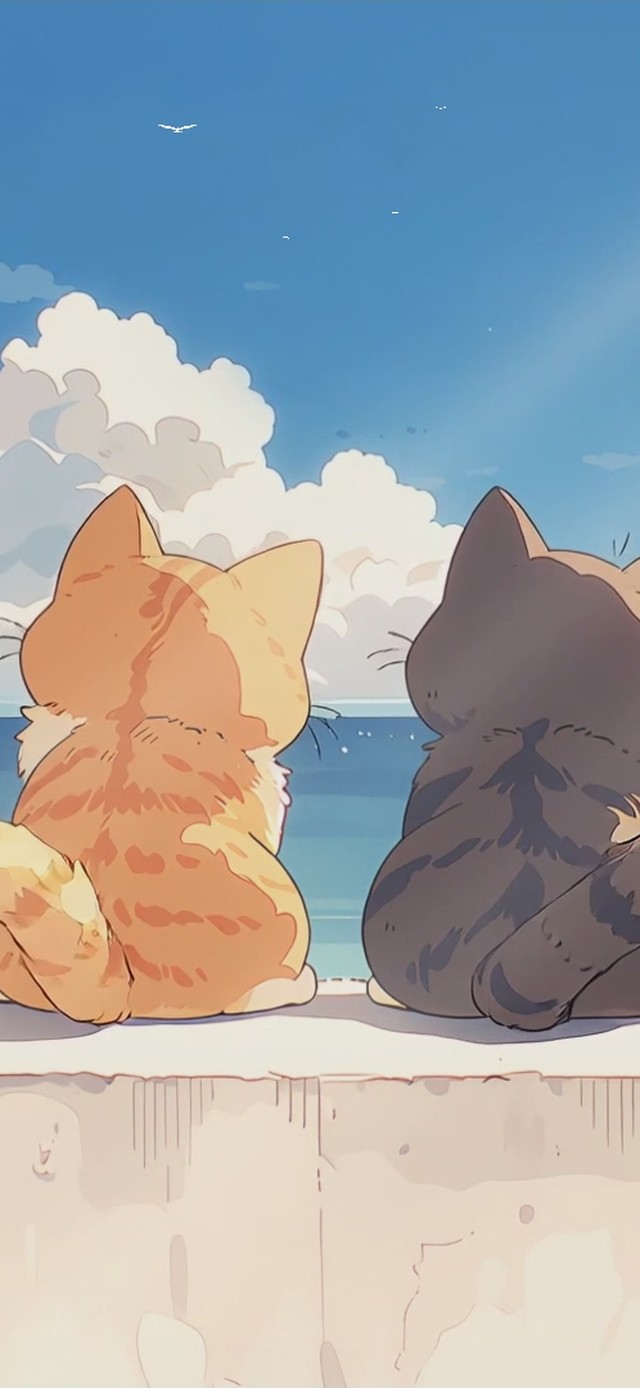 发呆看海的猫
