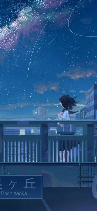 4K 夜晚天桥星空少女