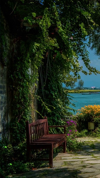 护眼树木河流房屋绿景