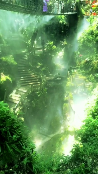 丛林仙境